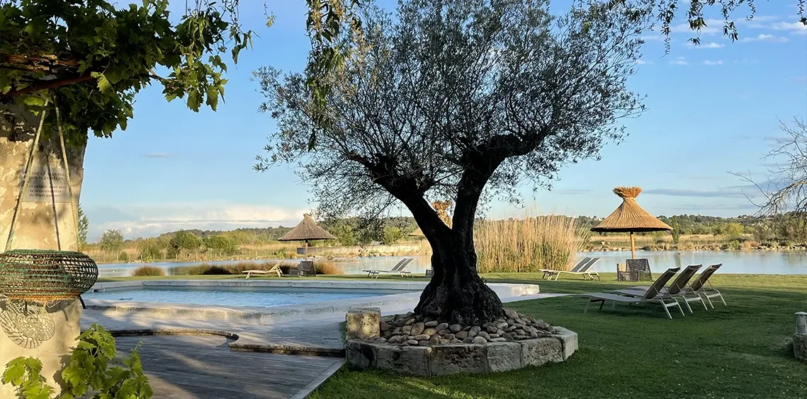 Jardin avec olivier, transats et vue sur l'étang, Mas de la Galégière