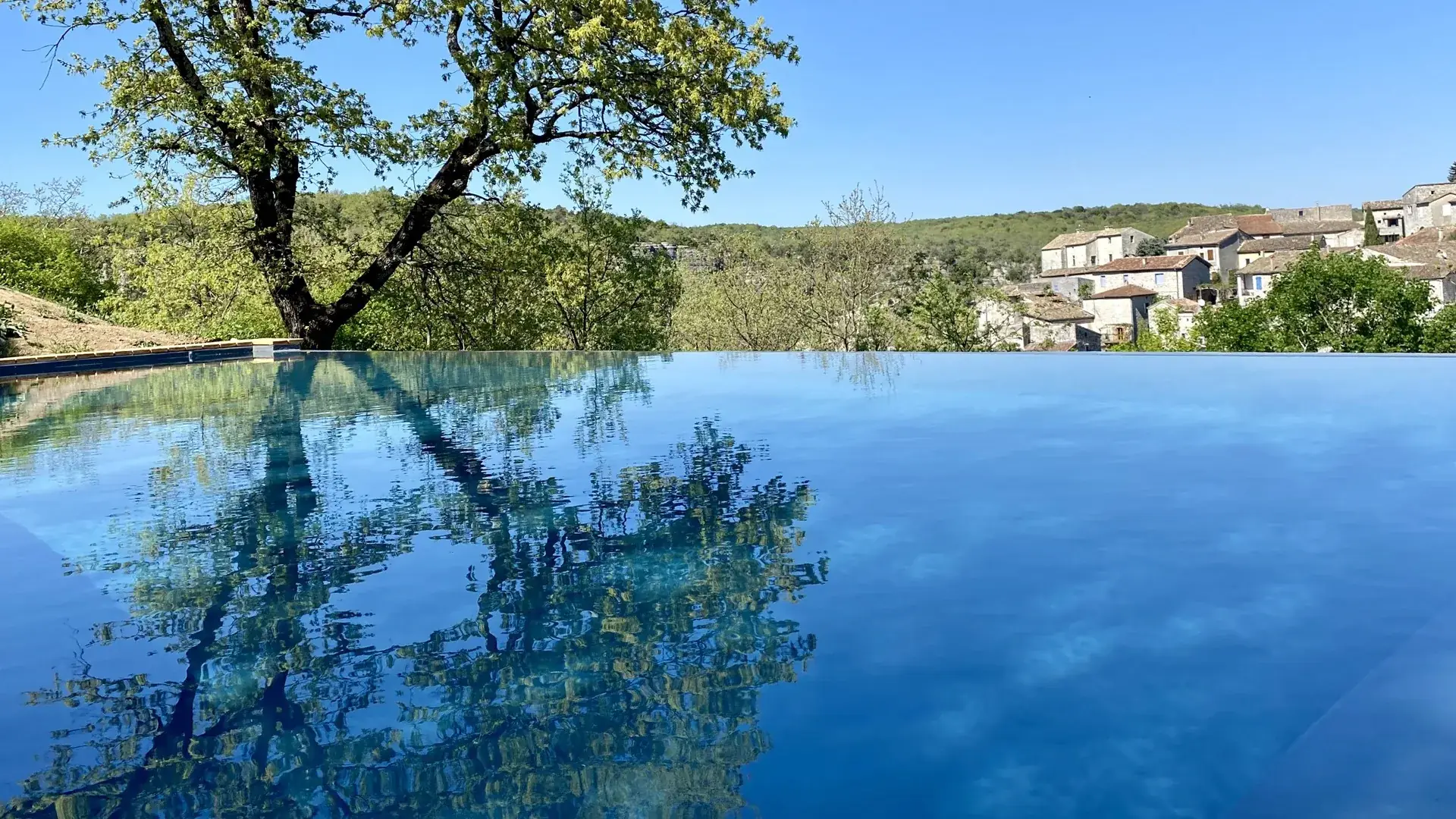 Infinity pool at Maison Chassel reflecting an oak tree, facing the village of Balazuc