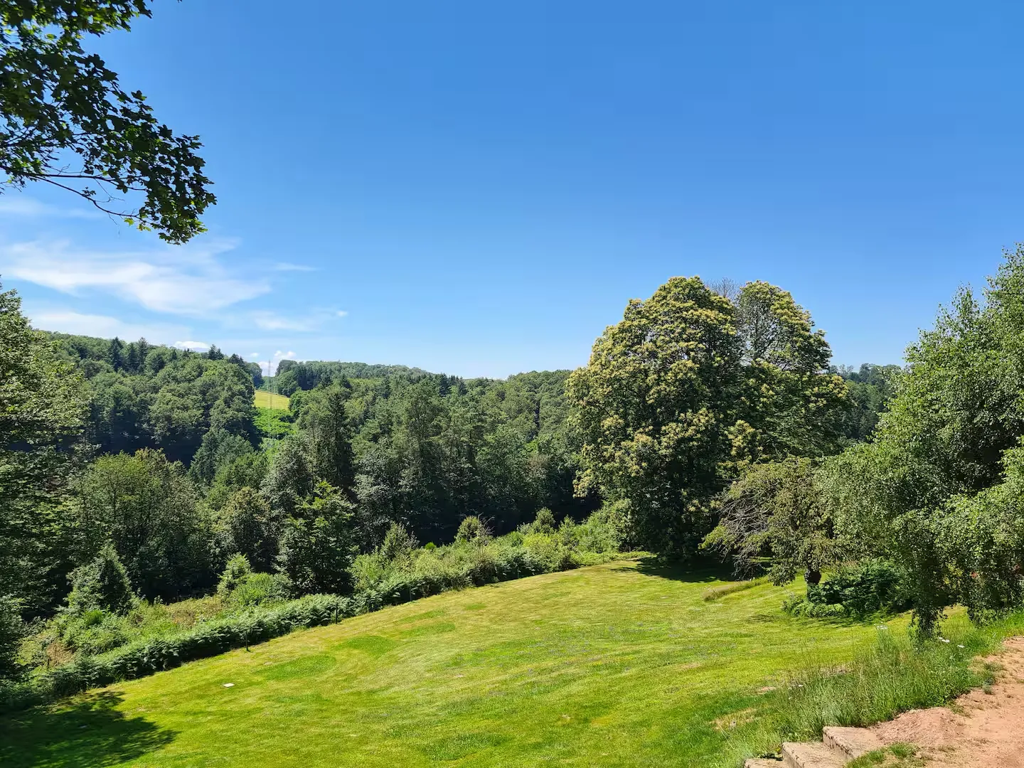 Jardin en pente et vallée boisée vus depuis le gîte Sapin Zen à Goetzenbruck