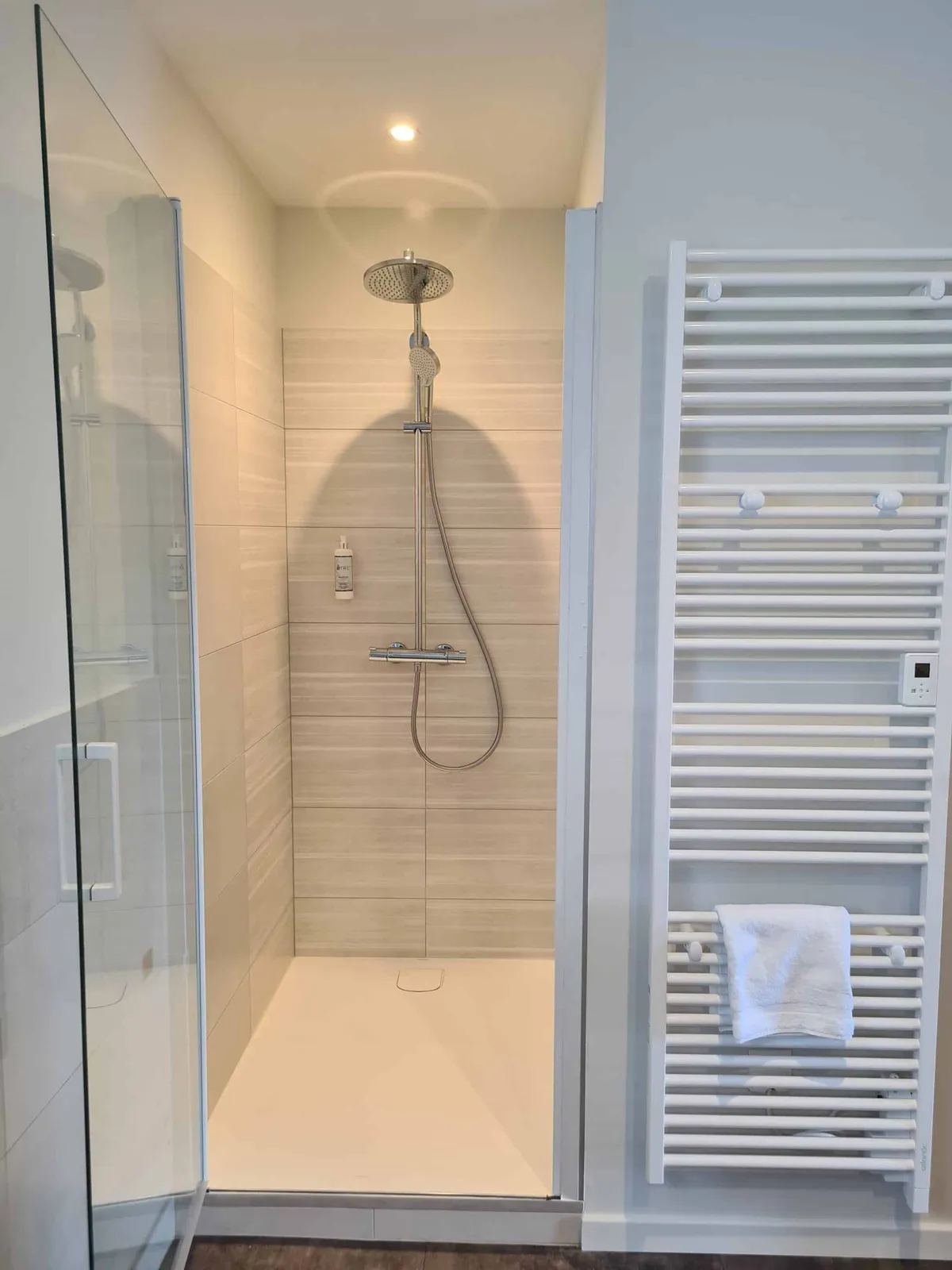 Douche avec colonne à effet pluie et sèche-serviettes, gîte Sapin Zen
