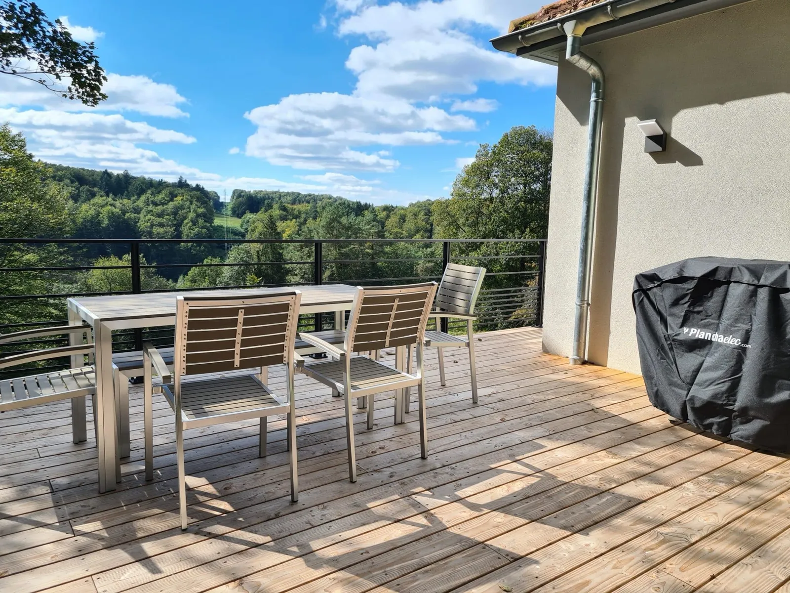 Terrasse en bois avec table, chaises et plancha, vue sur la forêt des Vosges du Nord, gîte Sapin Zen à Goetzenbruck